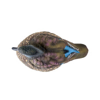 Heyday Lifetime Wood Duck Decoys